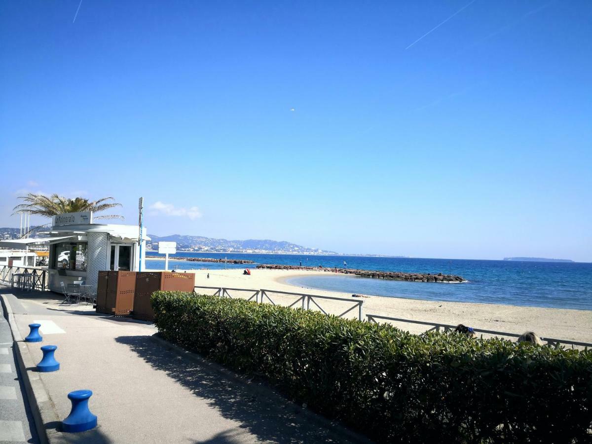Studio Cannes Marina Mandelieu Dış mekan fotoğraf